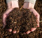 Reitanlage Berghausen, Landkreis Karlsruhe, Pfinztal, Reitanlage Karlsruhe, Remchingen, Bretten, Pensionspferd, Reitstall, Stall, Reiten, Ausritt, Pferde, Reitstunden, Einstellpferde, Einsteller, Reitturnier, Pfinztal, Berghausen, Reitunterricht